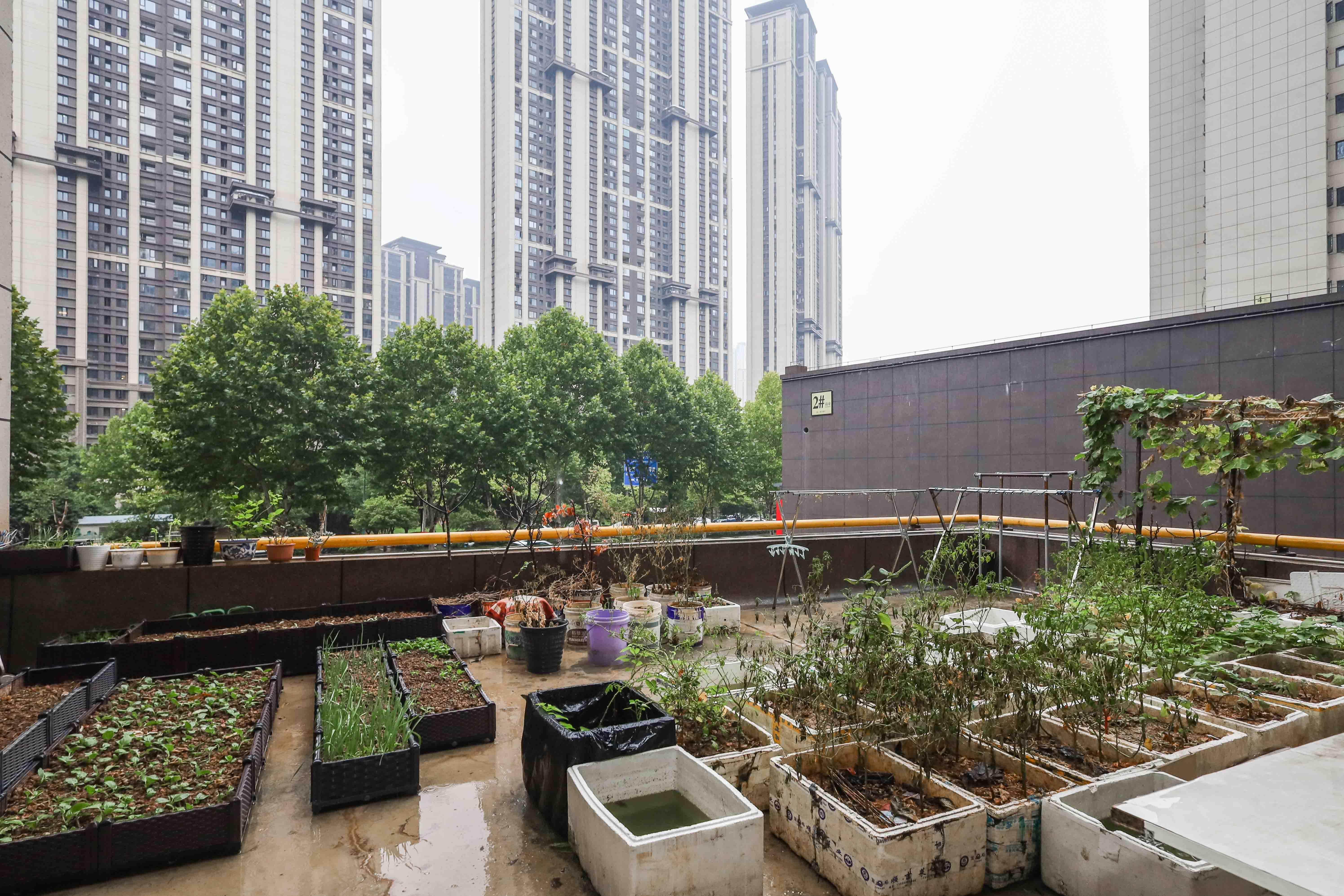 中国铁建梅溪青秀二期  3室2厅2卫   155.00万阳台