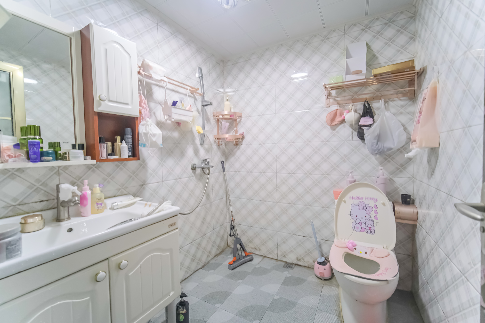 山水湾  1室1厅1卫    28.88万卫生间