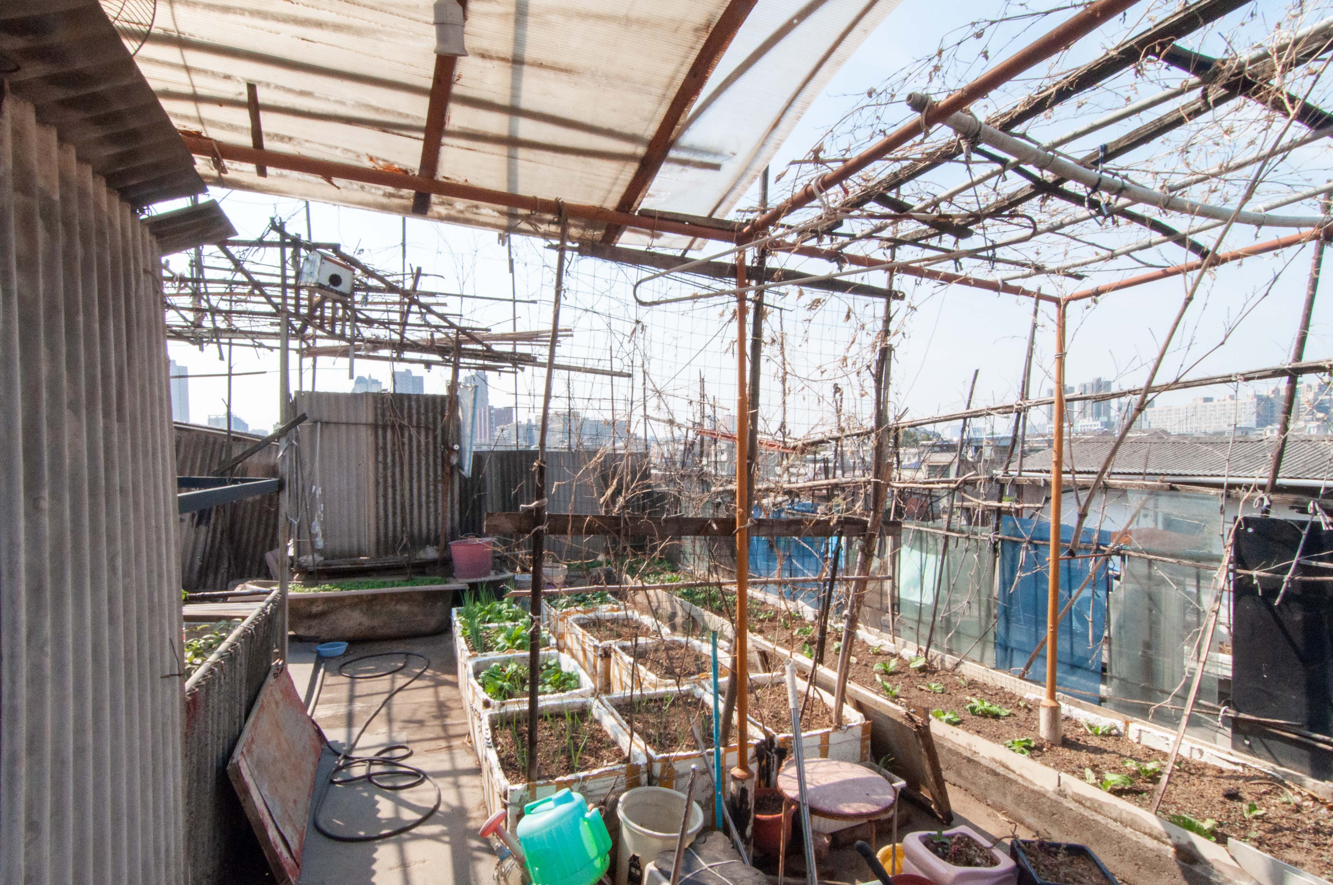 汽车西站商贸城(河西望城坡)  10室4厅4卫    165.0万 汽车西站商贸城(河西望城坡)  10室4厅4卫    165.0万其他