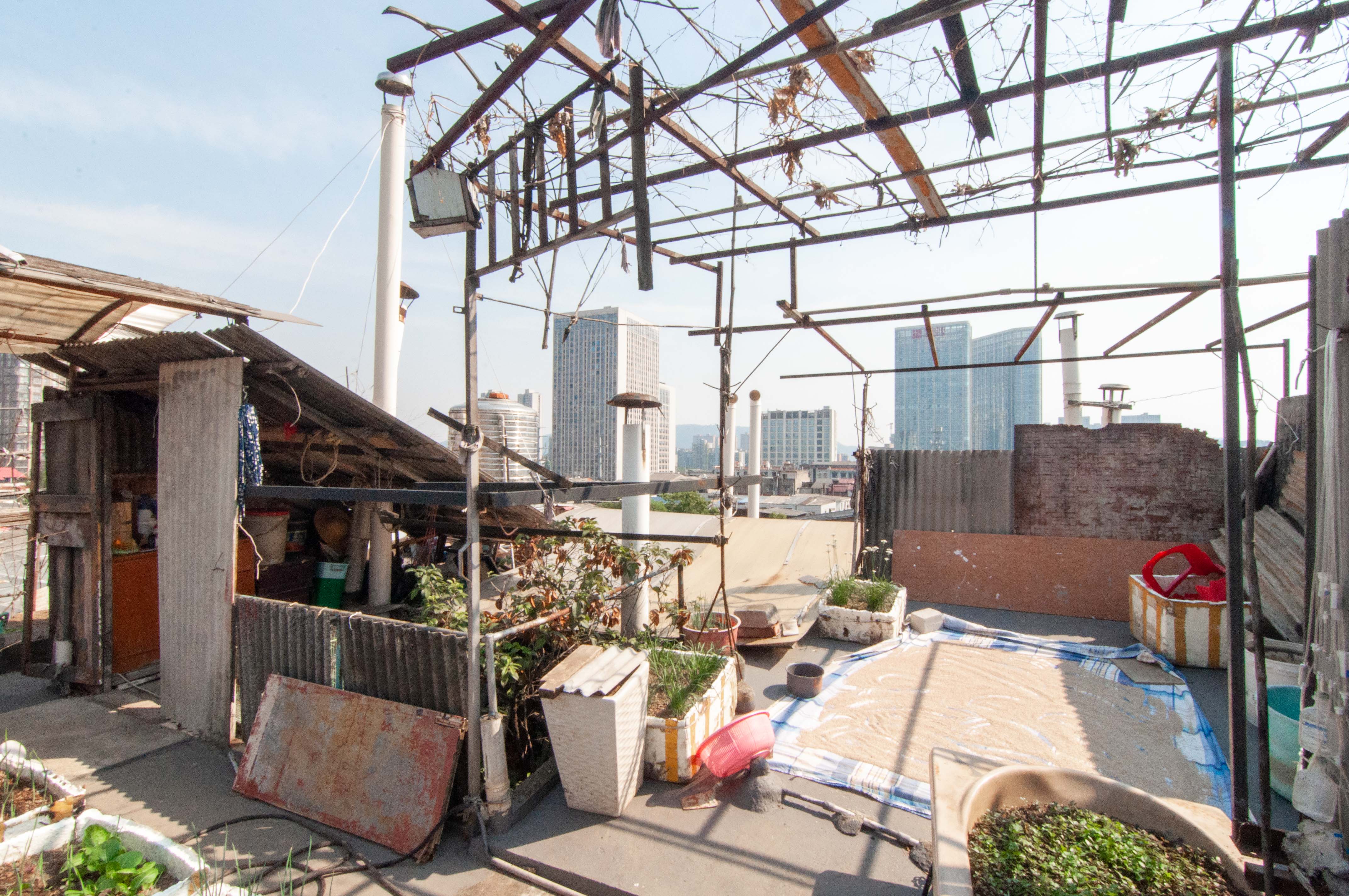 汽车西站商贸城(河西望城坡)  10室4厅4卫    165.0万 汽车西站商贸城(河西望城坡)  10室4厅4卫    165.0万其他