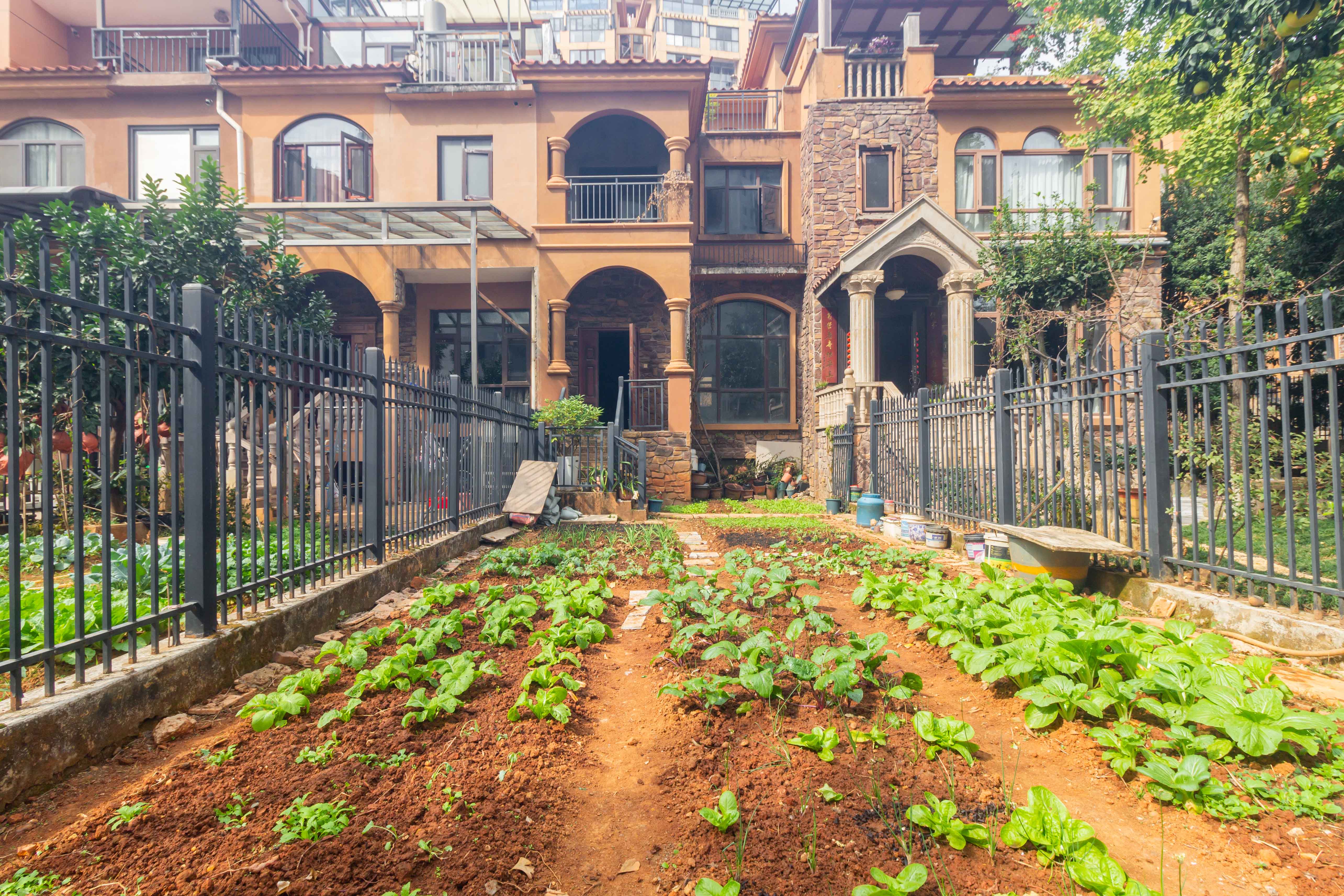 天园假日 4室2厅3卫 365.0万 天园假日 4室2厅3卫 365.0万卧室