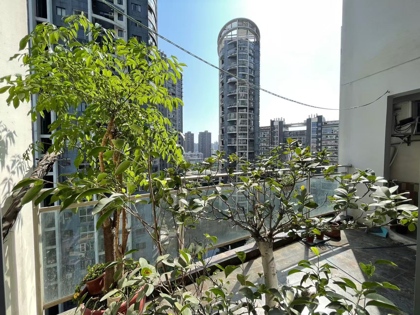 美林银谷  4室2厅2卫    3700.0元/月 美林银谷  4室2厅2卫    3700.0元/月室内图