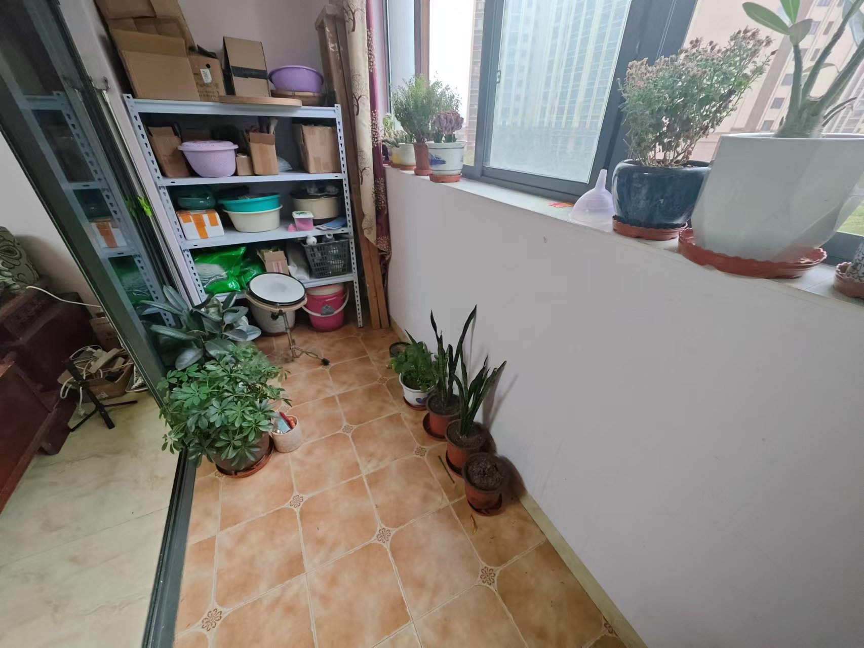 经世龙城 3室2厅2卫 60.0万 经世龙城 3室2厅2卫 60.0万室内图