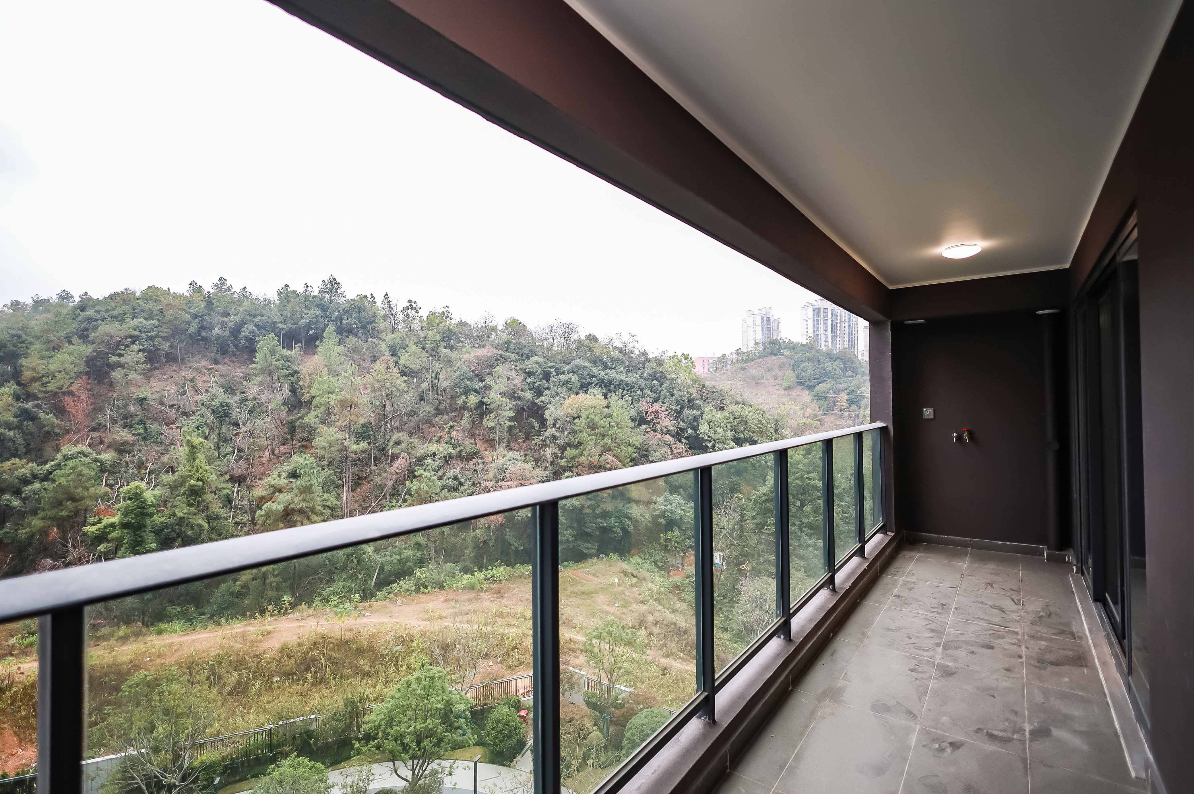 招商麓山府  4室2厅2卫   252.00万阳台