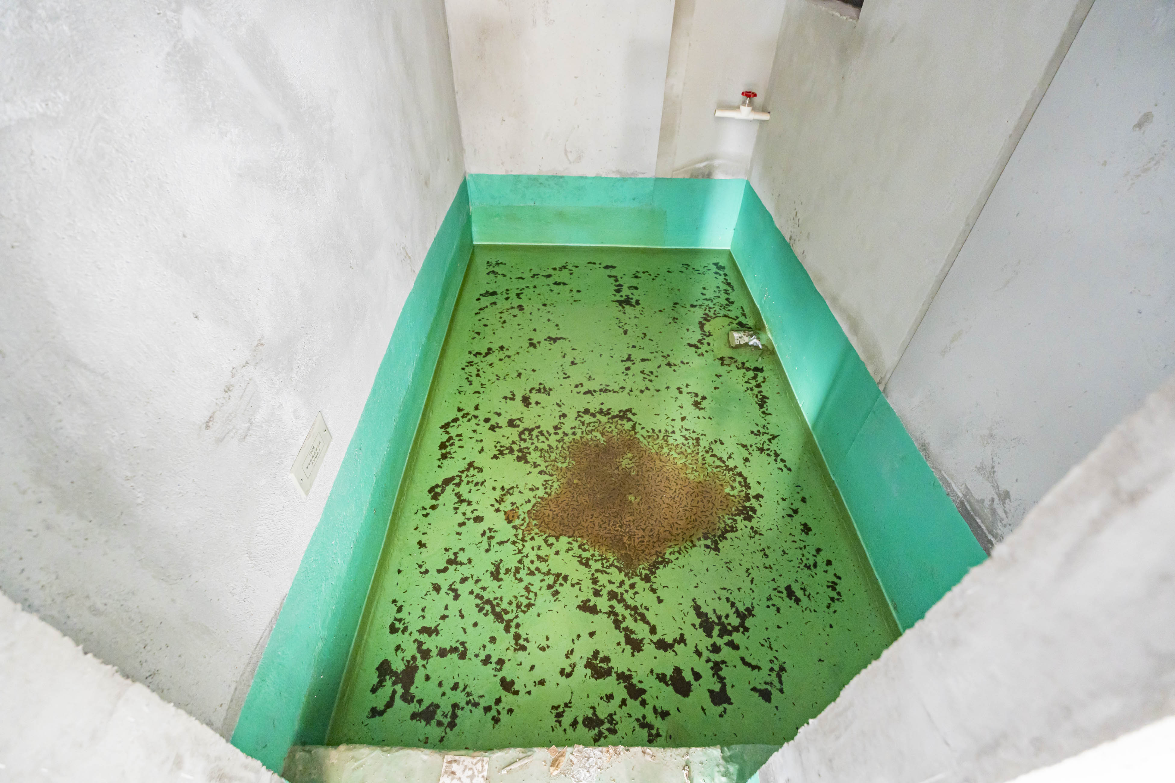 东原麓印长江C区 4室2厅2卫 328.0万 东原麓印长江C区 4室2厅2卫 328.0万卫生间