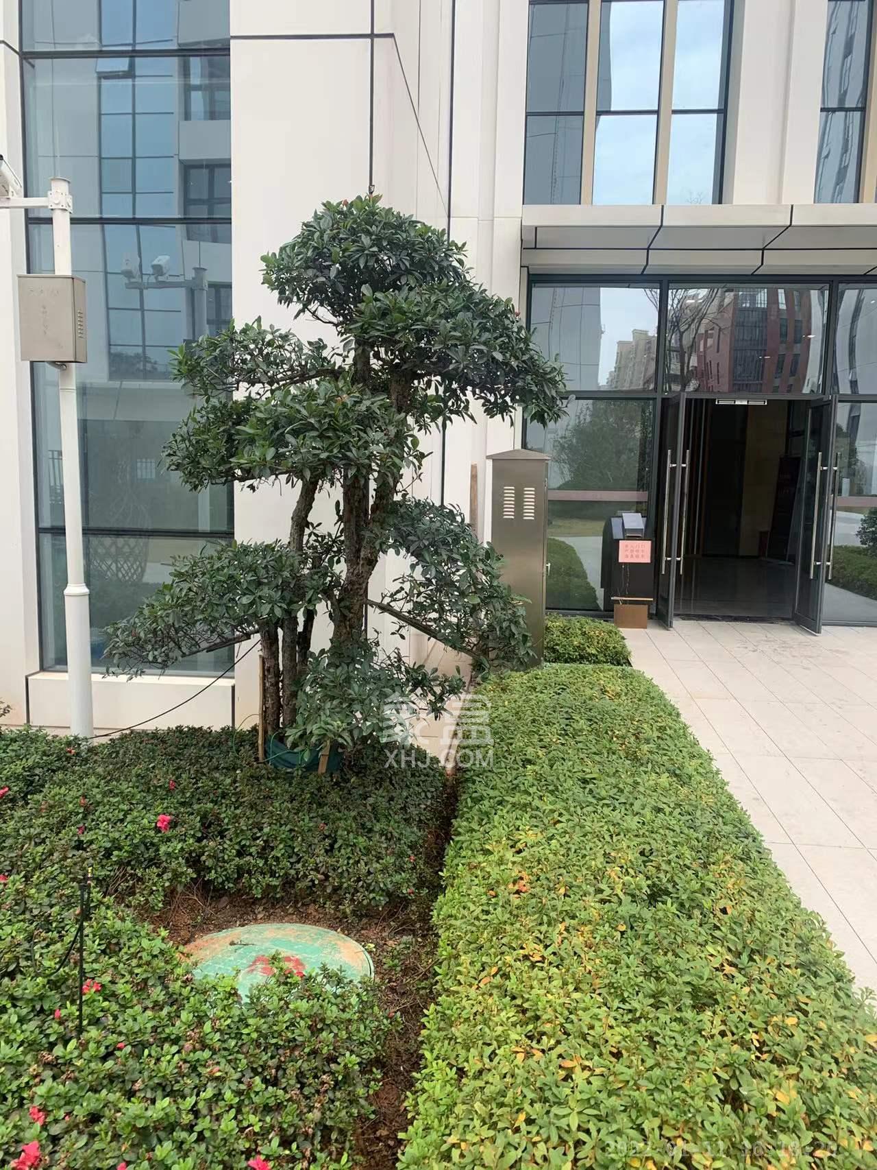 福天藏郡院子 1室1厅1卫 1500.0元/月 福天藏郡院子 1室1厅1卫 1500.0元/月室内图