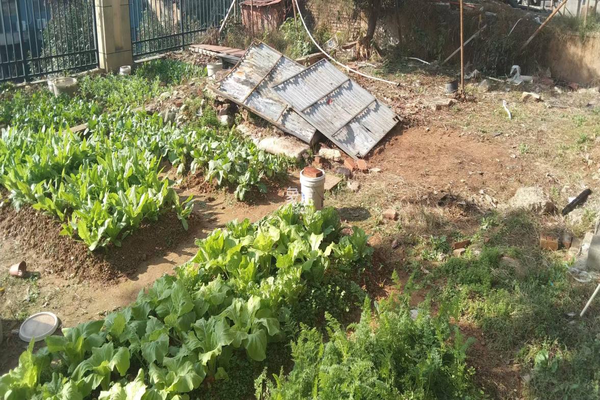 碧桂园  6室3厅4卫    280.0万 碧桂园  6室3厅4卫    280.0万室内图