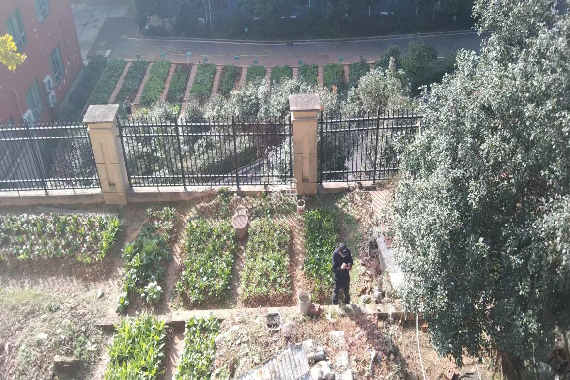 碧桂园  6室3厅4卫    280.0万 碧桂园  6室3厅4卫    280.0万室内图