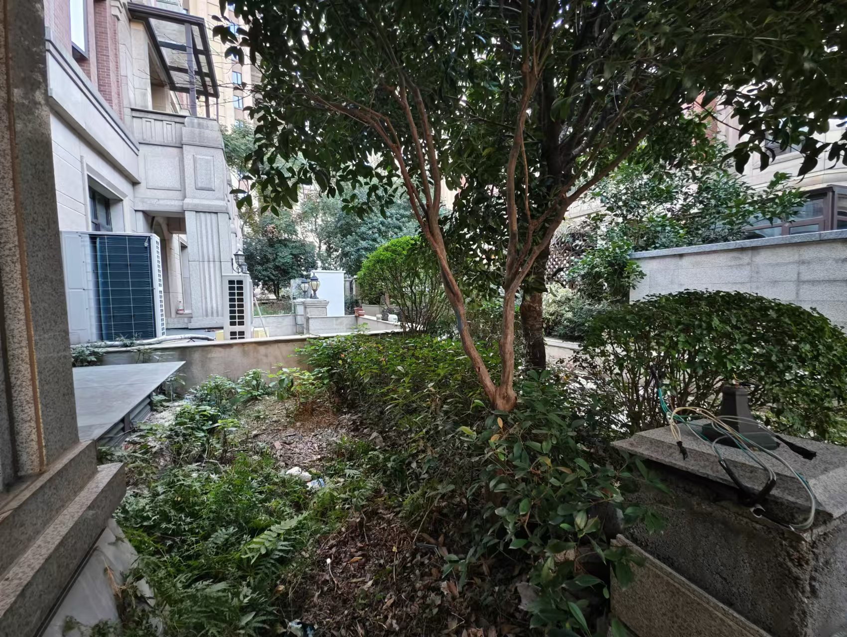 中海梅溪湖壹号  12室5厅5卫   18000.00元/月室内图