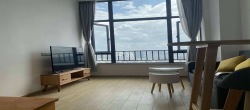 保利中央海岸三期熙园  1室2厅1卫   65.00万