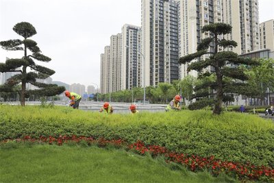 建工城城市之光 3室2厅1卫 2500.0元/月 建工城城市之光 3室2厅1卫 2500.0元/月小区图