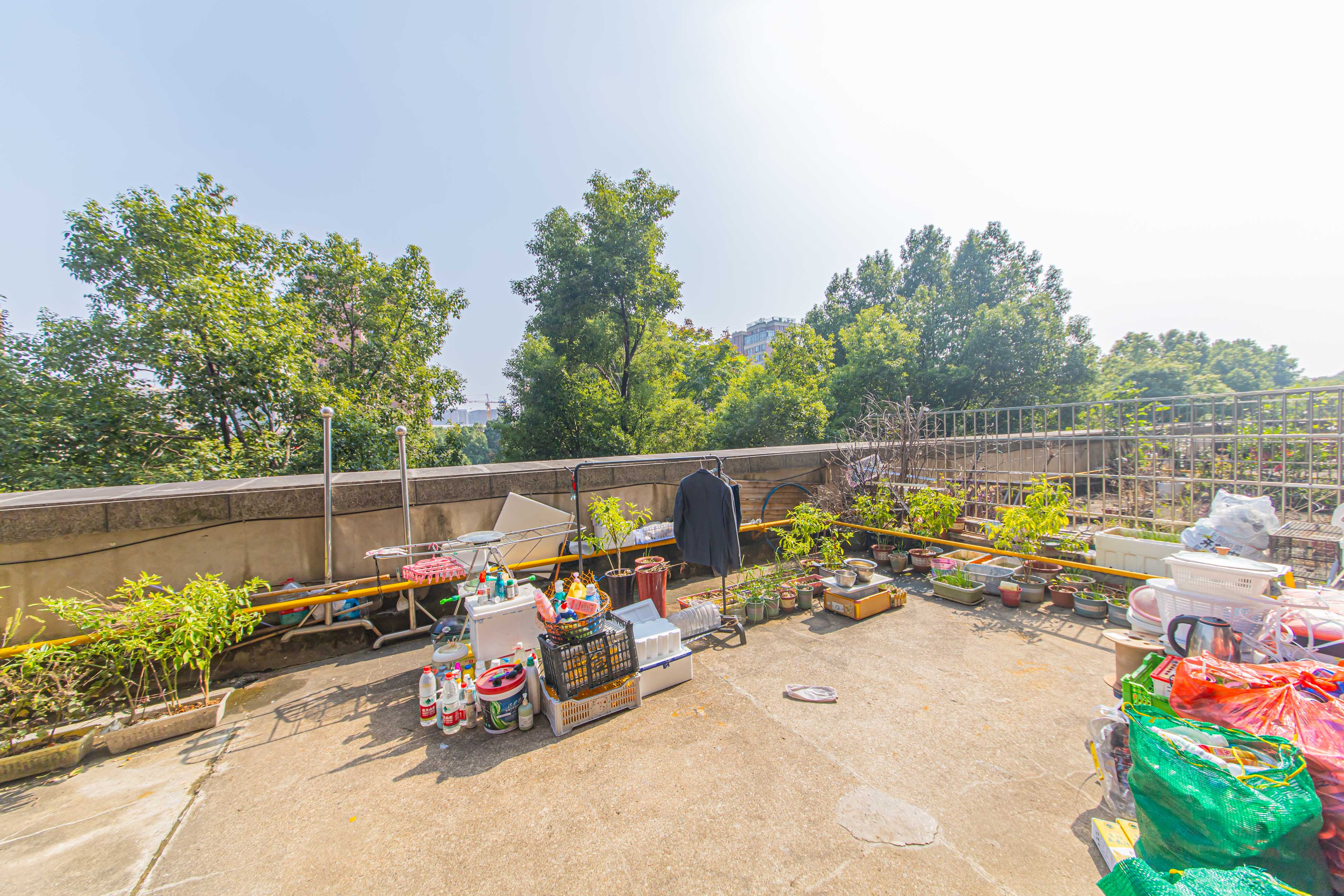 绿地公馆(绿地名邸) 1室1厅1卫 67.0万 绿地公馆(绿地名邸) 1室1厅1卫 67.0万阳台