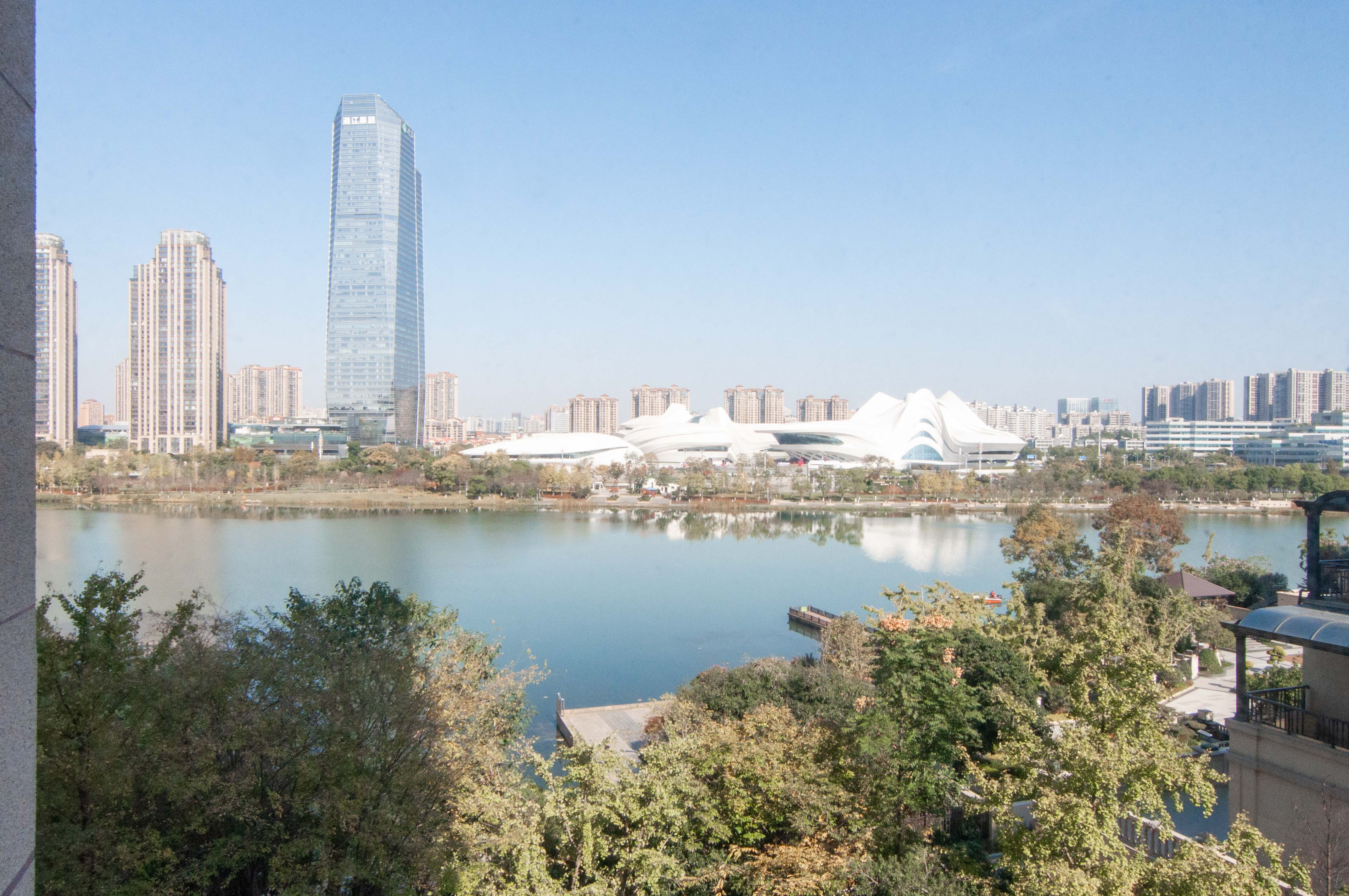 金茂梅溪湖  4室2厅2卫    360.0万其他