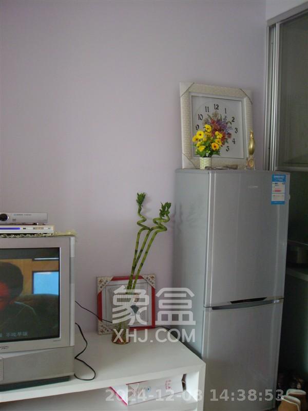 瑞安大厦  1室1厅1卫   1800.00元/月室内图