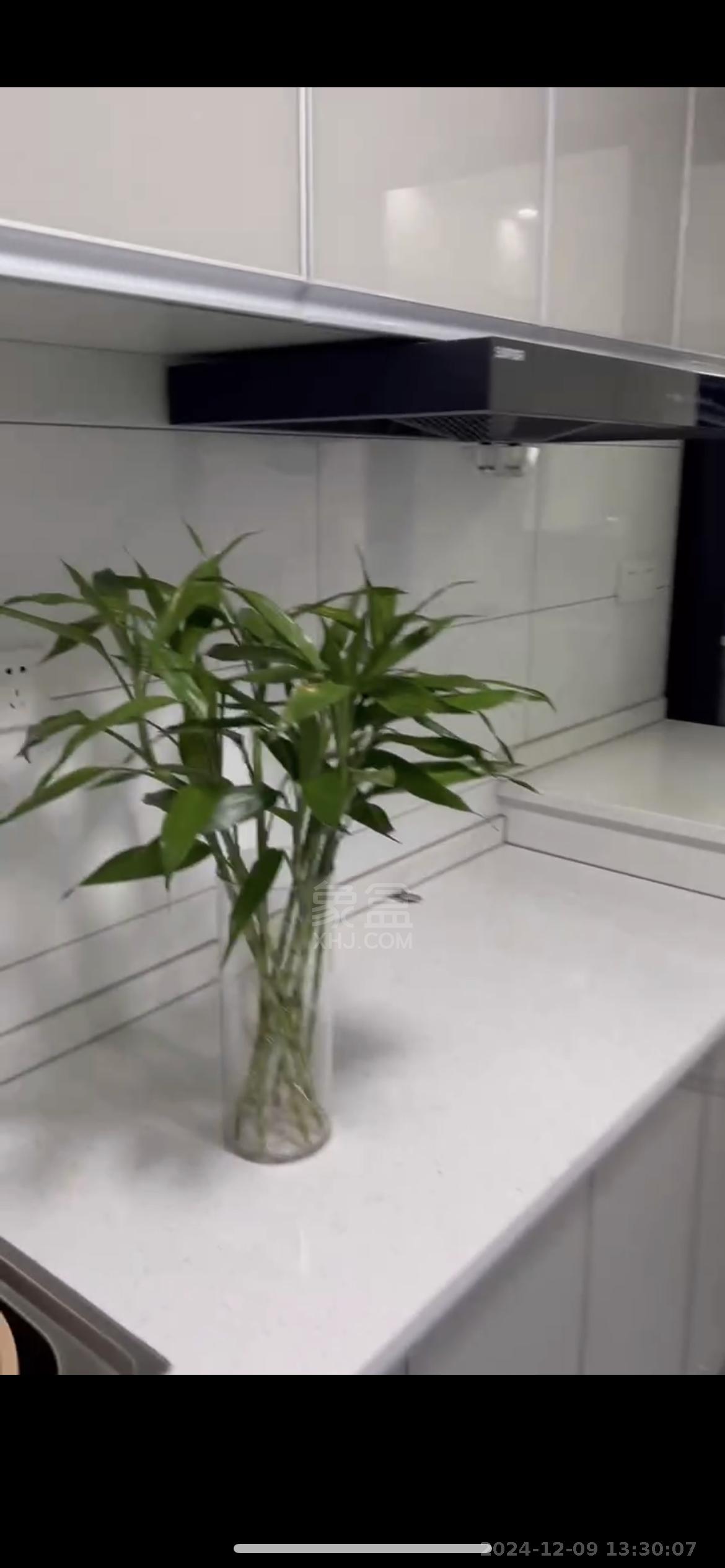 日盛大厦 1室0厅0卫 1650.0元/月 日盛大厦 1室0厅0卫 1650.0元/月室内图