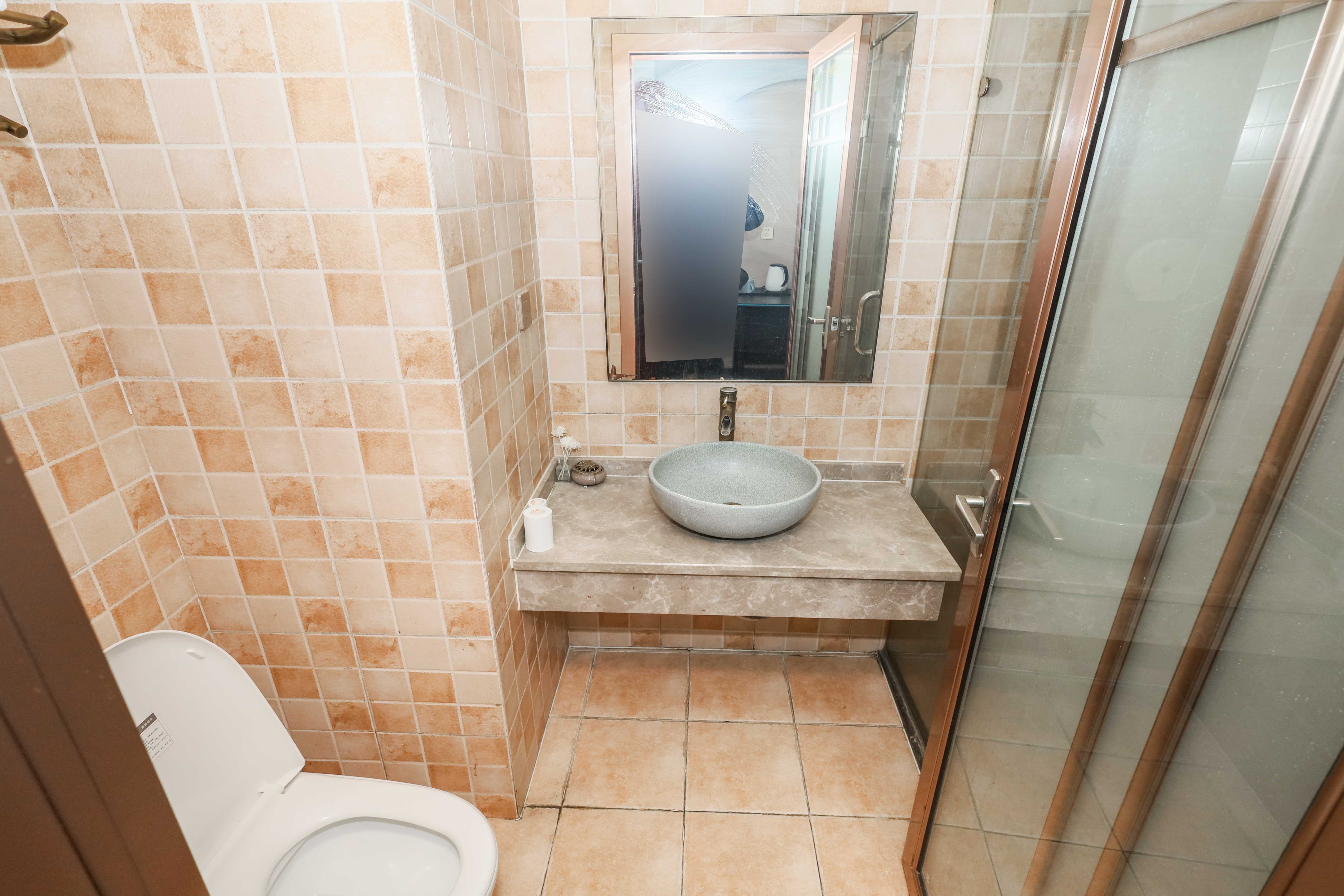 梅溪国际公寓（步步高新天地）  1室1厅1卫    26.0万卫生间