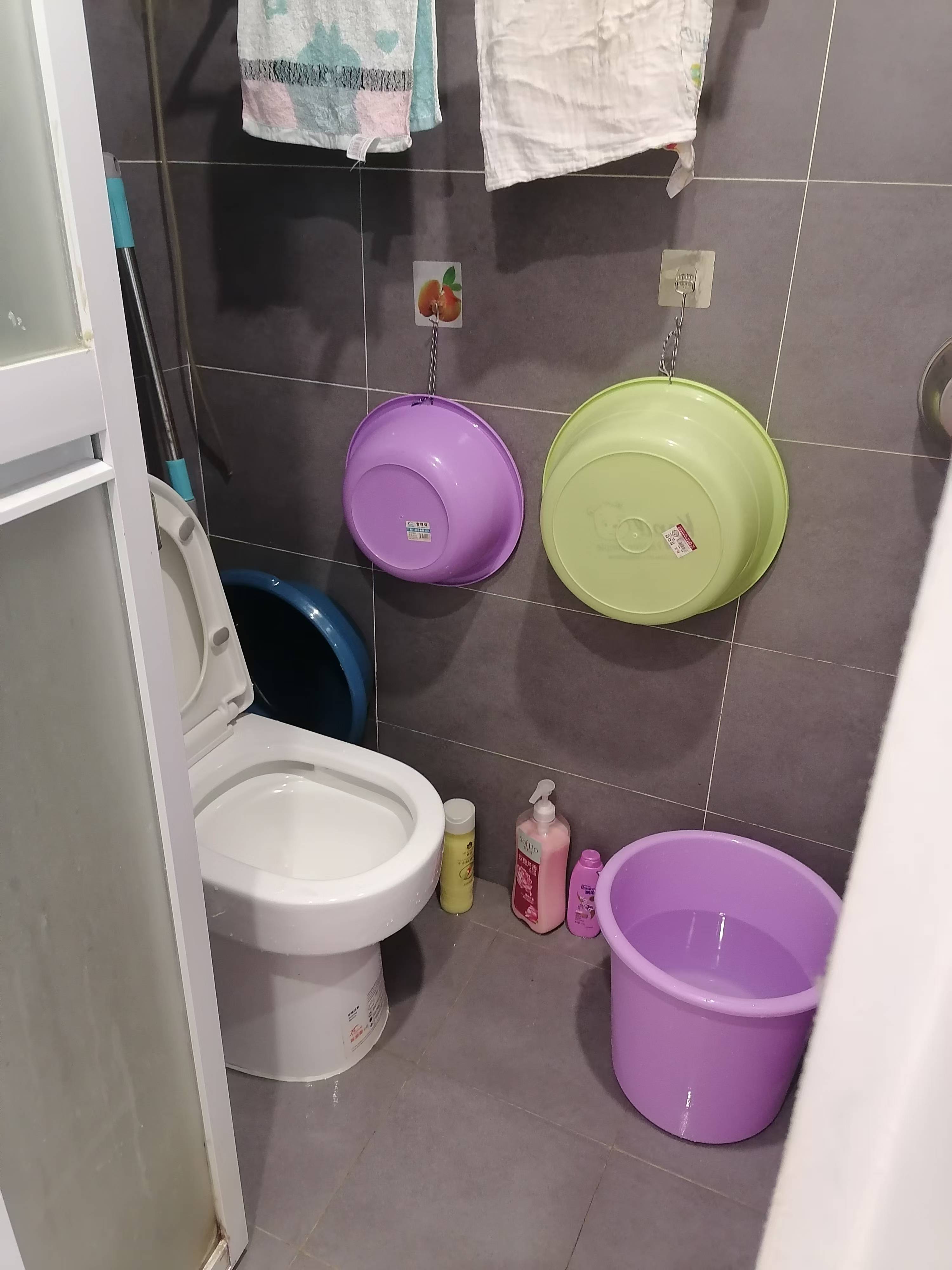 叠彩兰亭 1室1厅1卫 1200.0元/月 叠彩兰亭 1室1厅1卫 1200.0元/月室内图