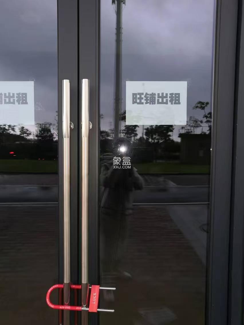 中建玥熙台 1室1厅1卫 2000.0元/月 中建玥熙台 1室1厅1卫 2000.0元/月室内图