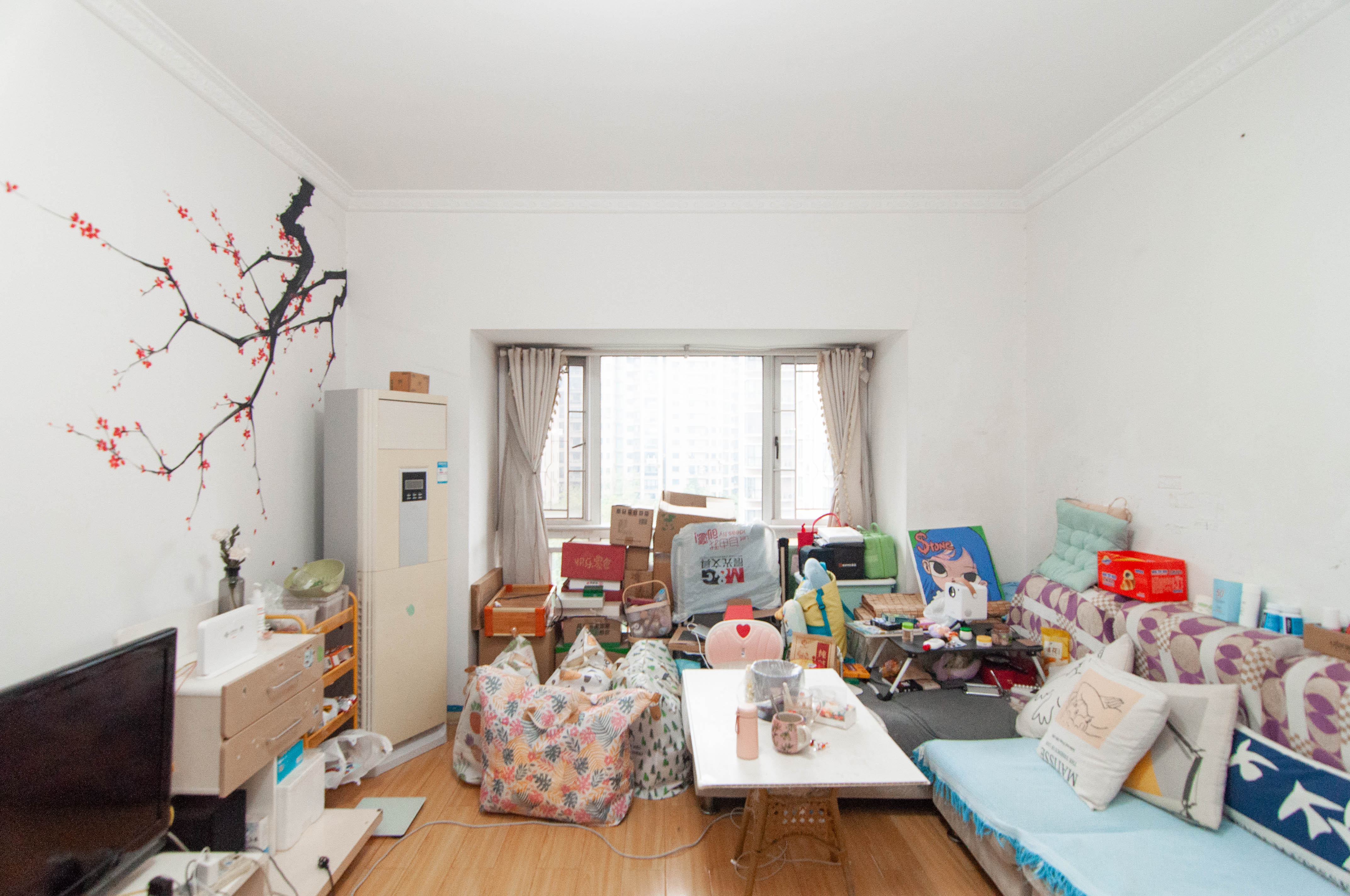 西点公园里  2室2厅1卫   95.00万