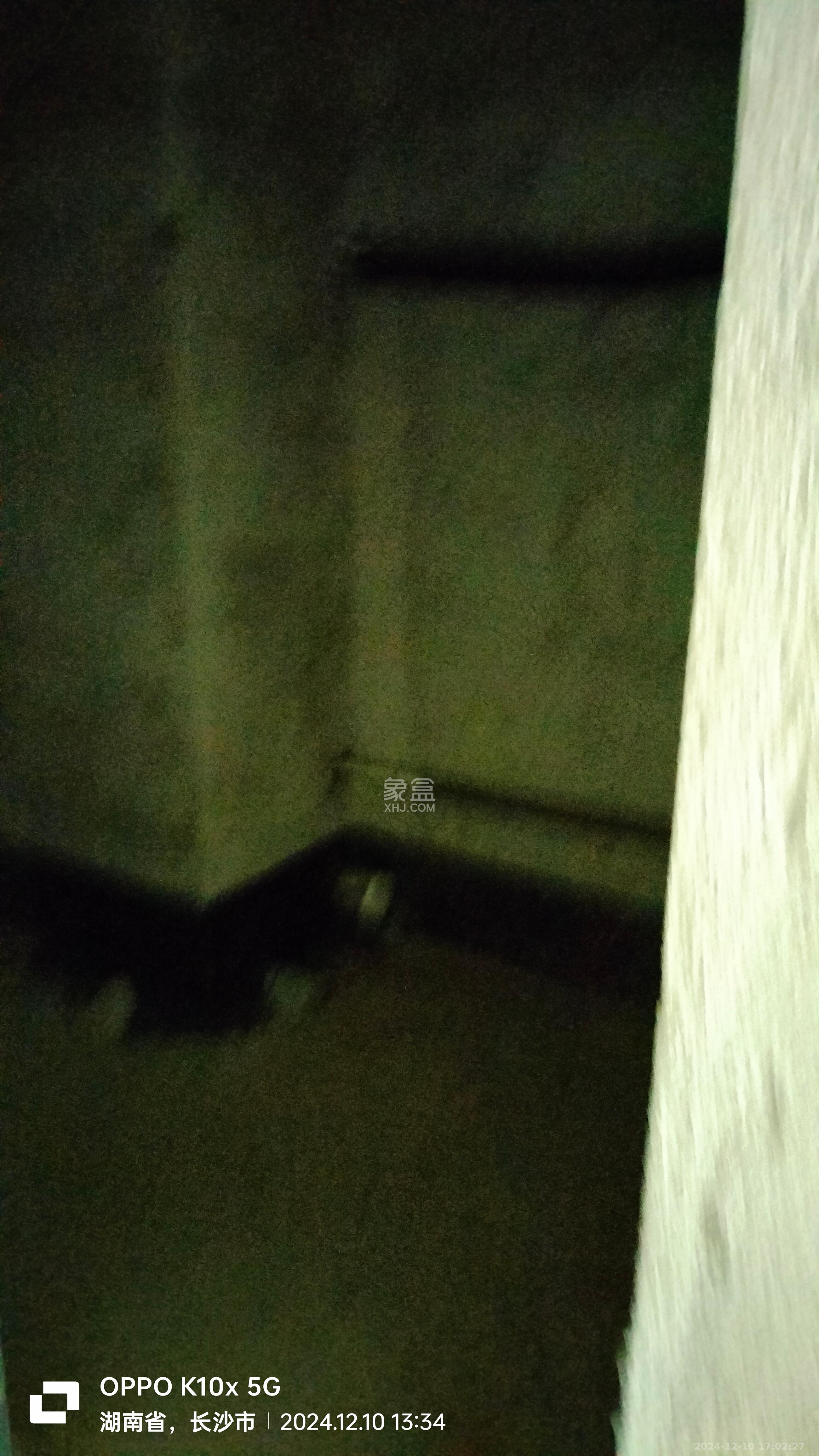 恒大珺悦府  1室1厅1卫   1200.00元/月室内图