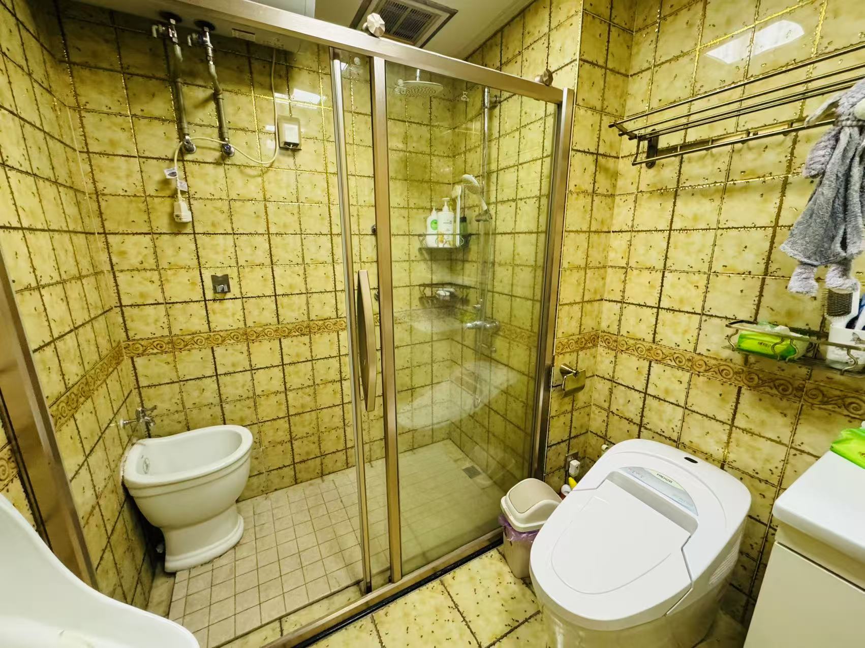 北辰定江洋 5室2厅2卫 13800.0元/月 北辰定江洋 5室2厅2卫 13800.0元/月室内图