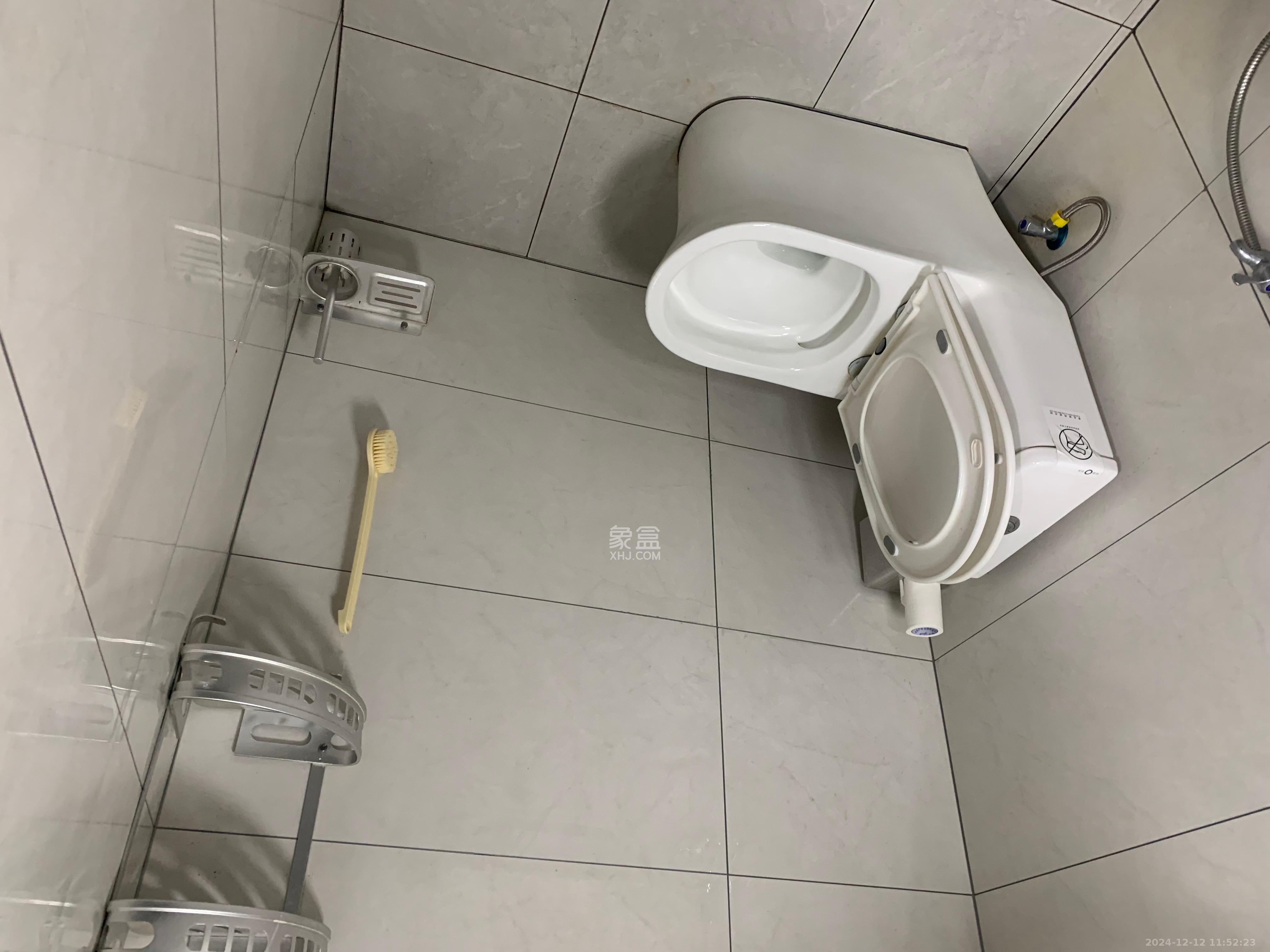 碧桂园印象  1室1厅1卫   1600.00元/月室内图