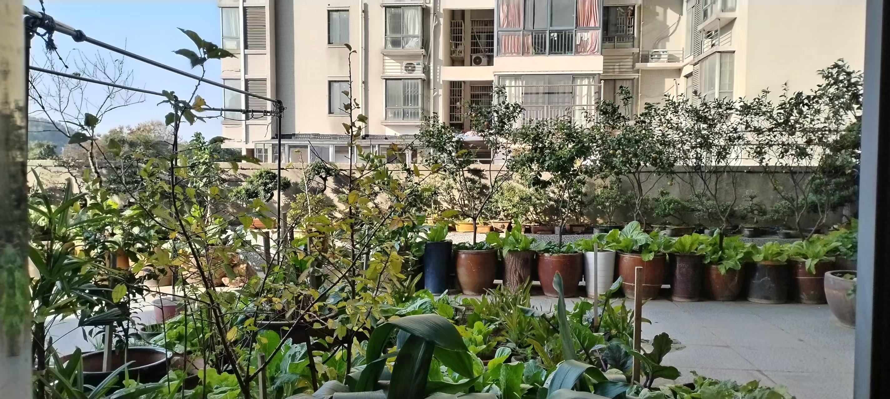 资江明珠 2室2厅1卫 53.8万 资江明珠 2室2厅1卫 53.8万室内图