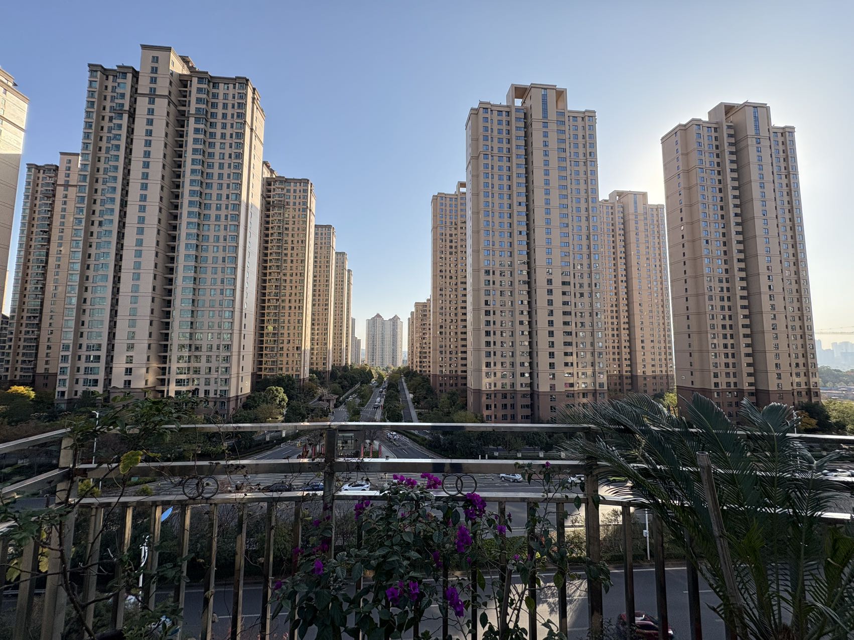 珠江丽园  5室3厅3卫    65.0万 珠江丽园  5室3厅3卫    65.0万室内图