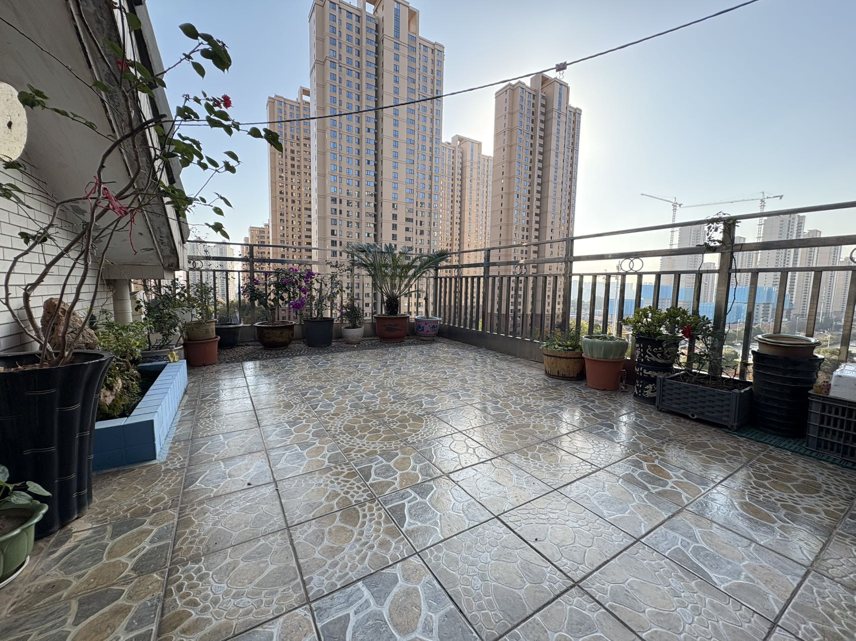 珠江丽园  5室3厅3卫    65.0万 珠江丽园  5室3厅3卫    65.0万室内图