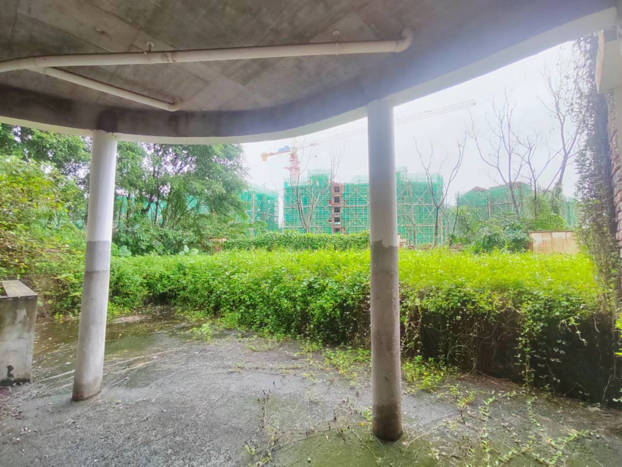 中信台达国际一期 6室3厅4卫 780.0万 中信台达国际一期 6室3厅4卫 780.0万室内图