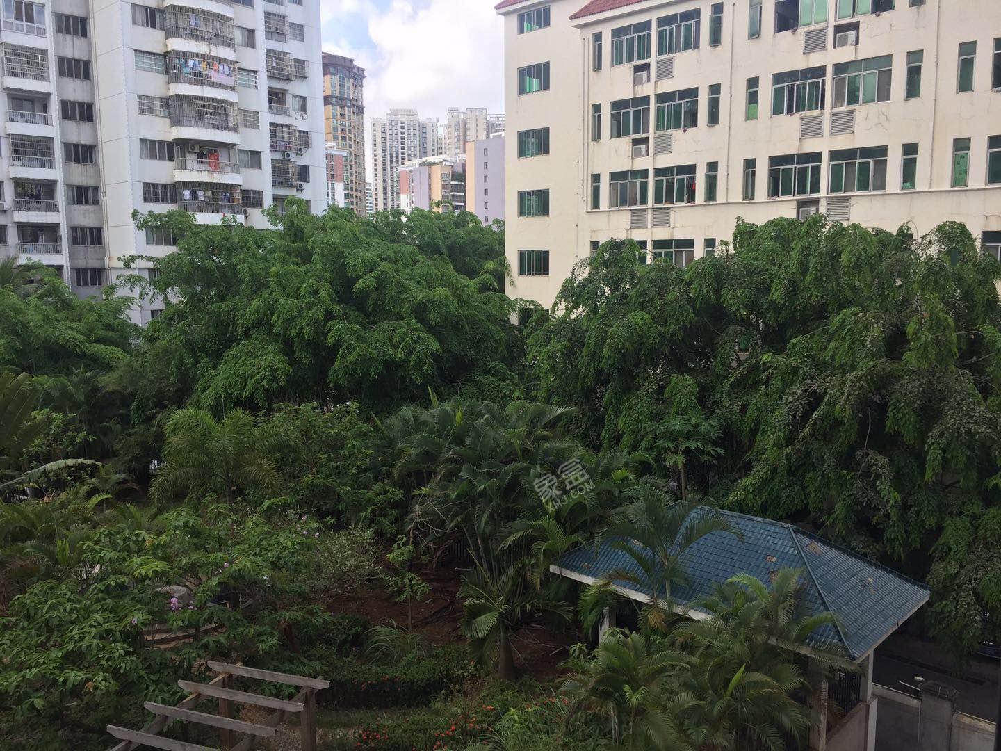 听海南国印象 1室1厅1卫 51.0万 听海南国印象 1室1厅1卫 51.0万室内图