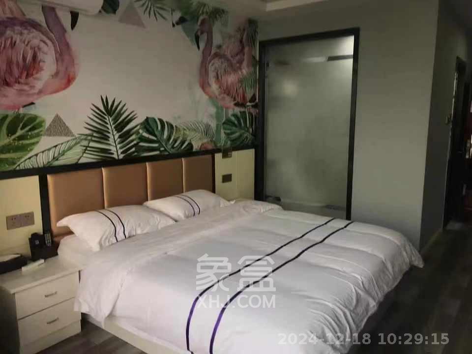 金轮星光名座  1室1厅1卫   1500.00元/月室内图