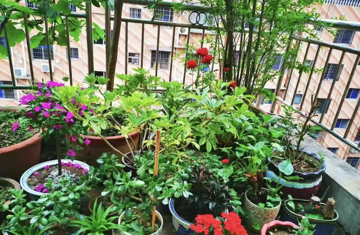 星源花园 5室3厅2卫 68.0万 星源花园 5室3厅2卫 68.0万室内图