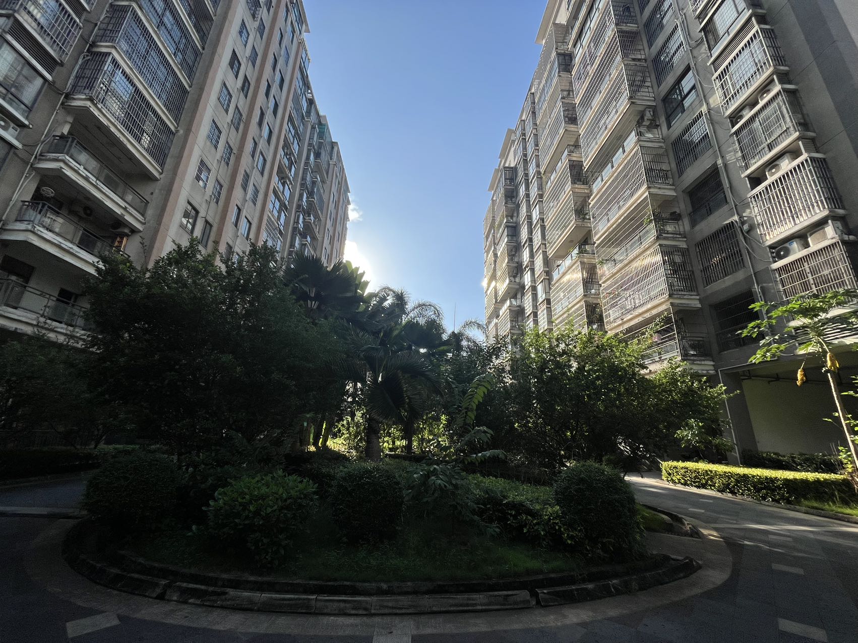 西岭华庭 4室2厅2卫 260.0万 西岭华庭 4室2厅2卫 260.0万小区图