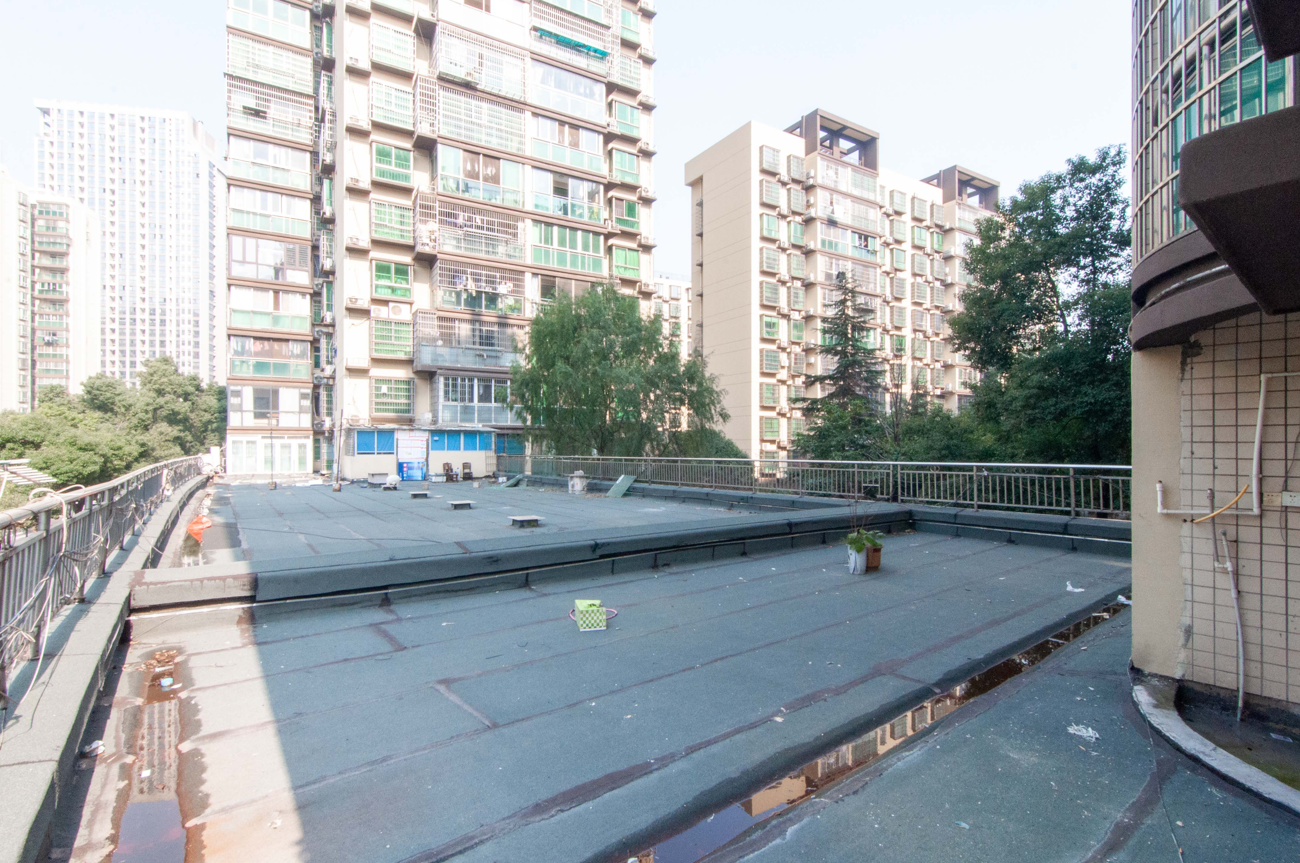 麓谷加州阳光 3室2厅2卫 90.8万 麓谷加州阳光 3室2厅2卫 90.8万其他