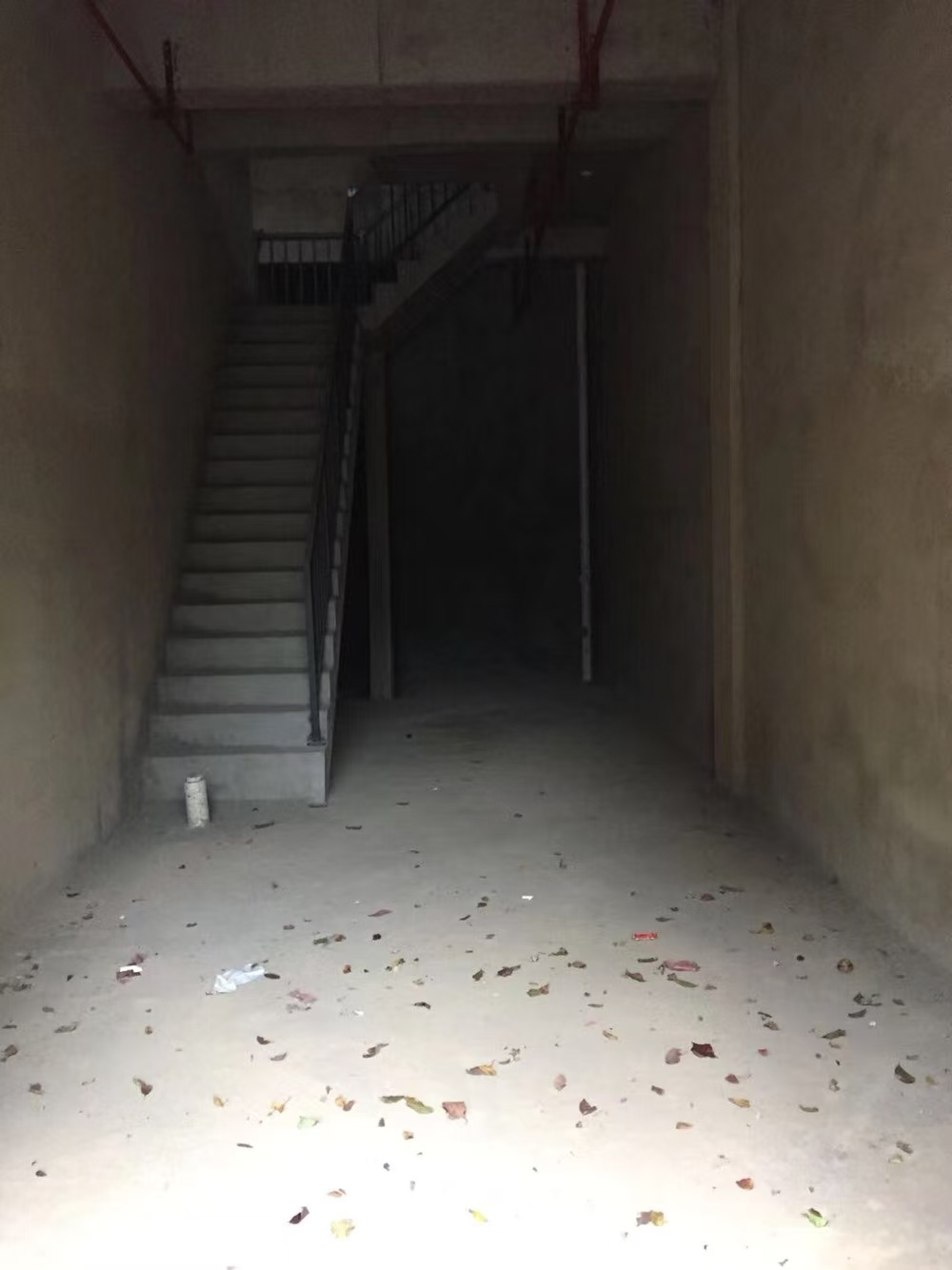 逸都花园 1室0厅0卫 2000.0元/月 逸都花园 1室0厅0卫 2000.0元/月室内图