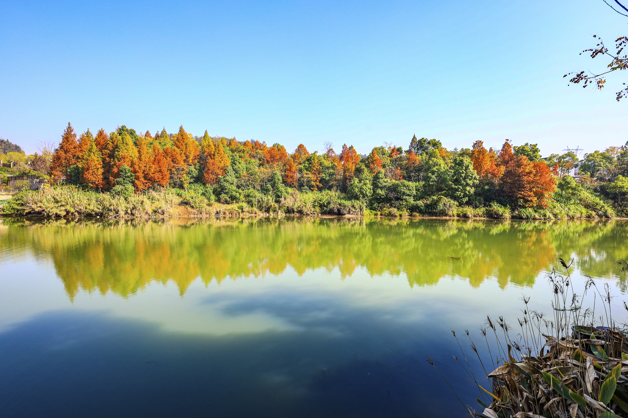 绿城青竹园 8室3厅7卫 1699.0万 绿城青竹园 8室3厅7卫 1699.0万其他
