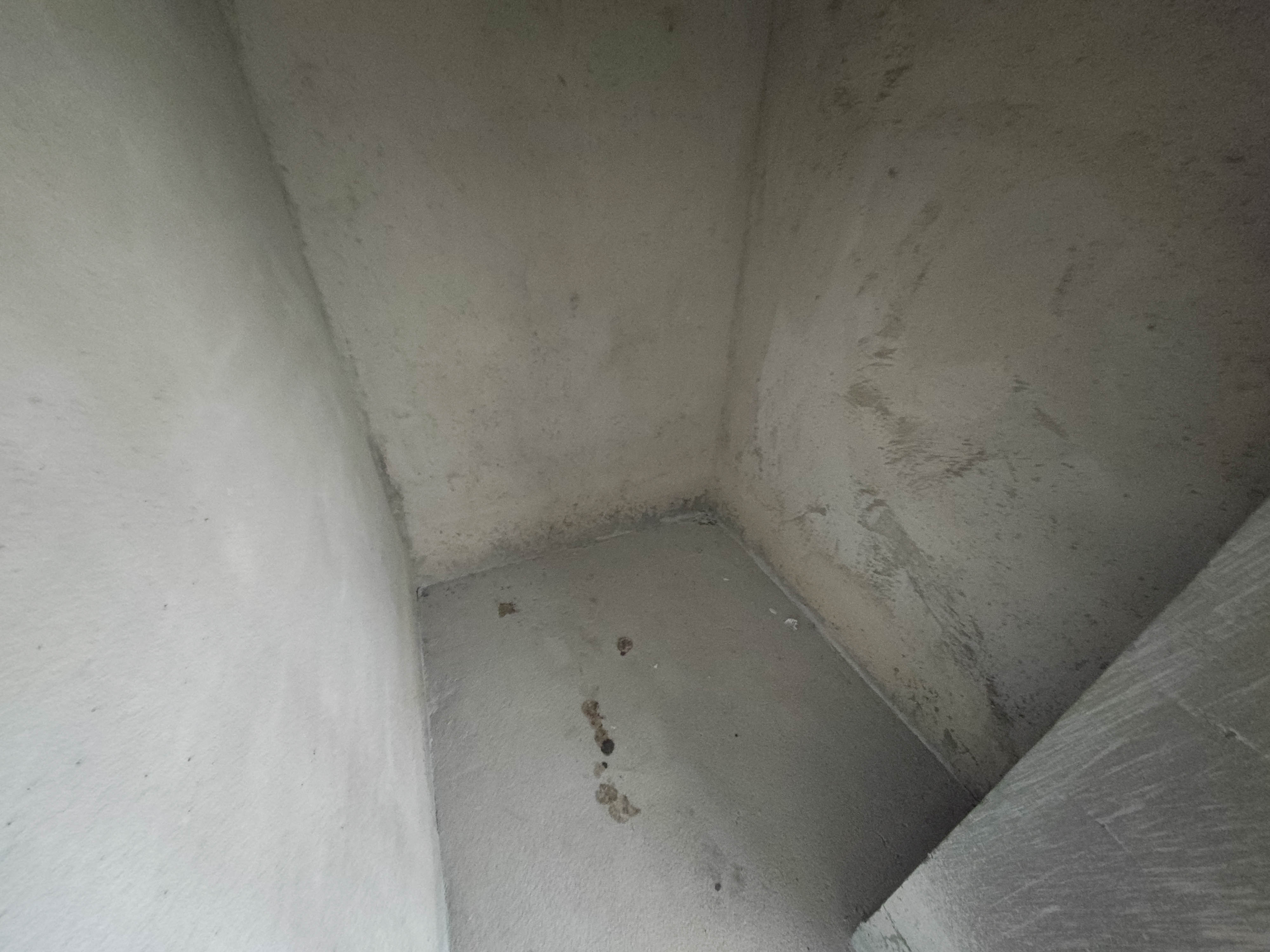 融创会展上东区  5室2厅3卫    176.0万 融创会展上东区  5室2厅3卫    176.0万其他