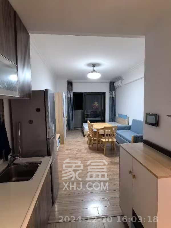 碧桂园星城首府 1室1厅1卫 1500.0元/月 碧桂园星城首府 1室1厅1卫 1500.0元/月室内图