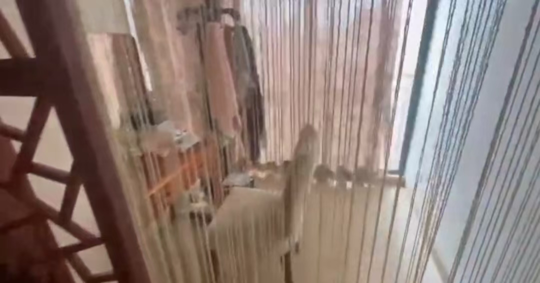 万花坊 4室2厅2卫 249.0万 万花坊 4室2厅2卫 249.0万室内图