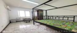 国庆新村  3室1厅1卫   1800.00元/月