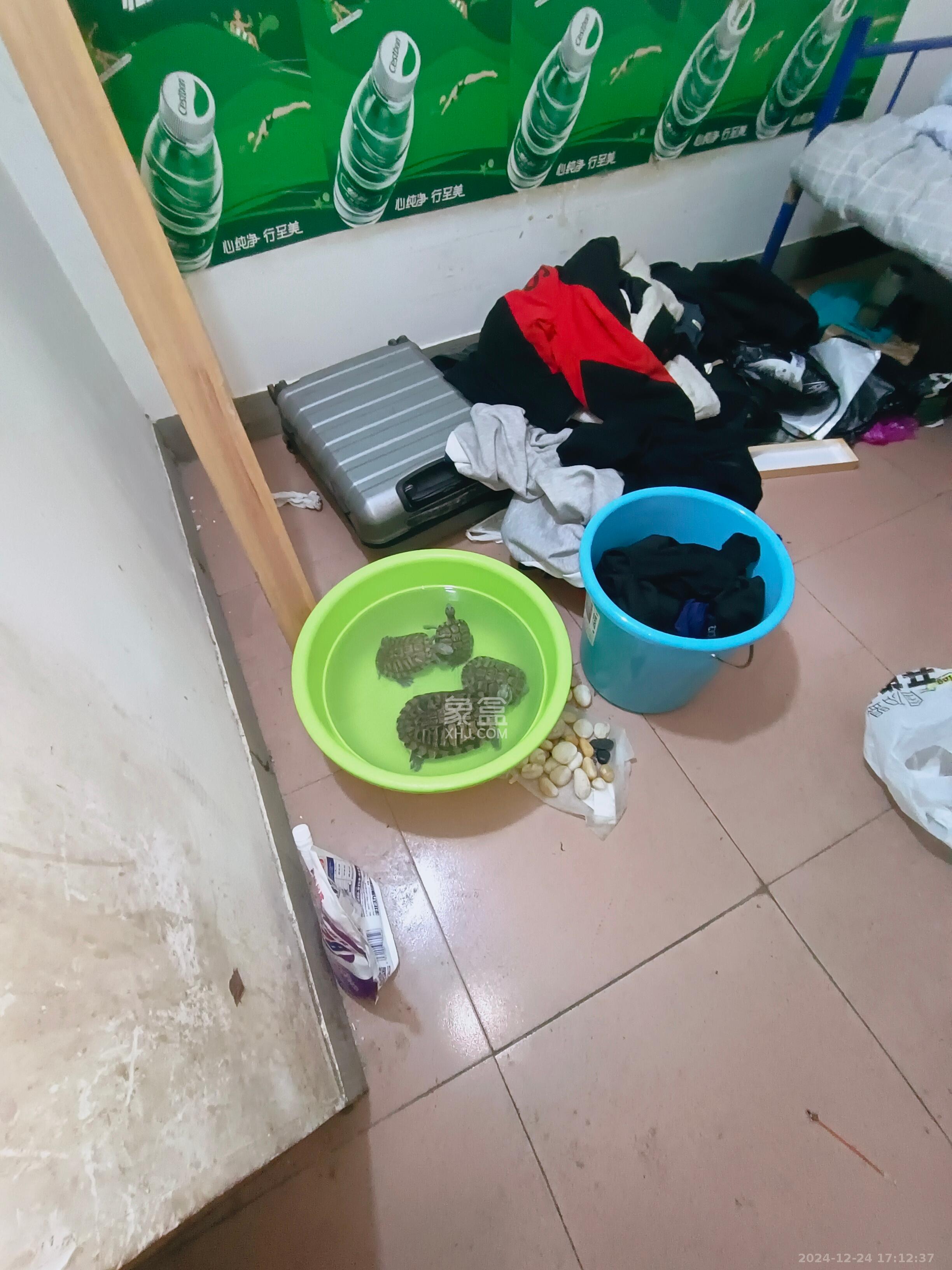 骆家坝小区 2室1厅1卫 1400.0元/月 骆家坝小区 2室1厅1卫 1400.0元/月室内图