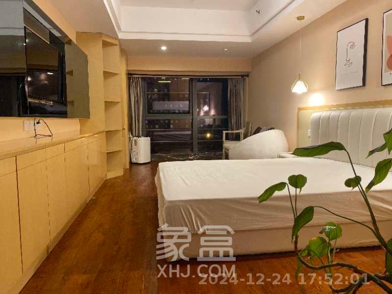 泊富公寓(泊富国际广场) 1室1厅1卫 2600.0元/月 泊富公寓(泊富国际广场) 1室1厅1卫 2600.0元/月室内图