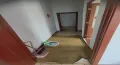 绿树林枫  1室1厅1卫   1000.00元/月