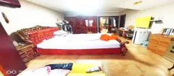 绿树林枫  4室2厅2卫   195.00万