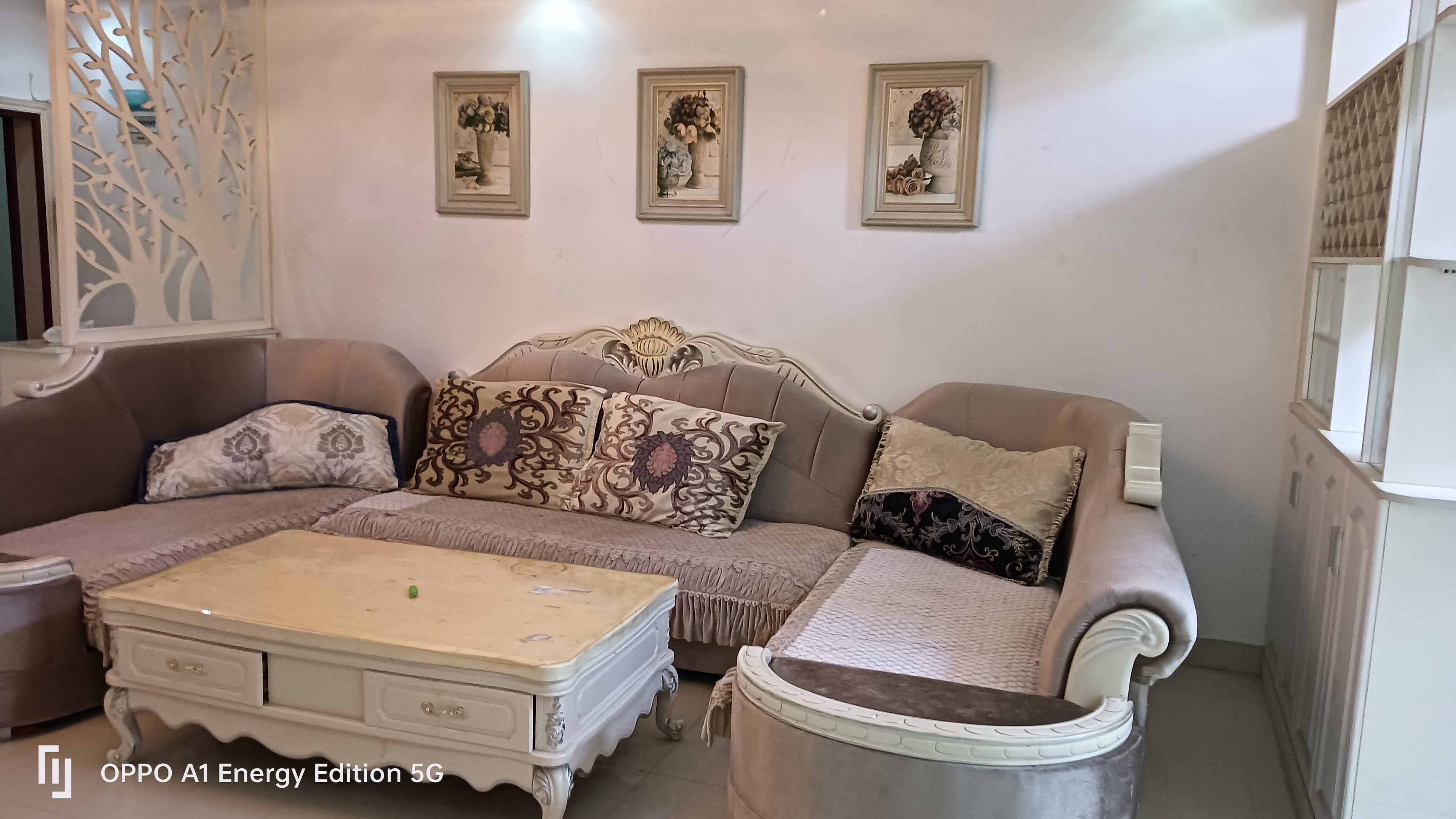 团圆嘉苑(蔡家村安置基地) 3室2厅2卫 1500.0元/月 团圆嘉苑(蔡家村安置基地) 3室2厅2卫 1500.0元/月室内图