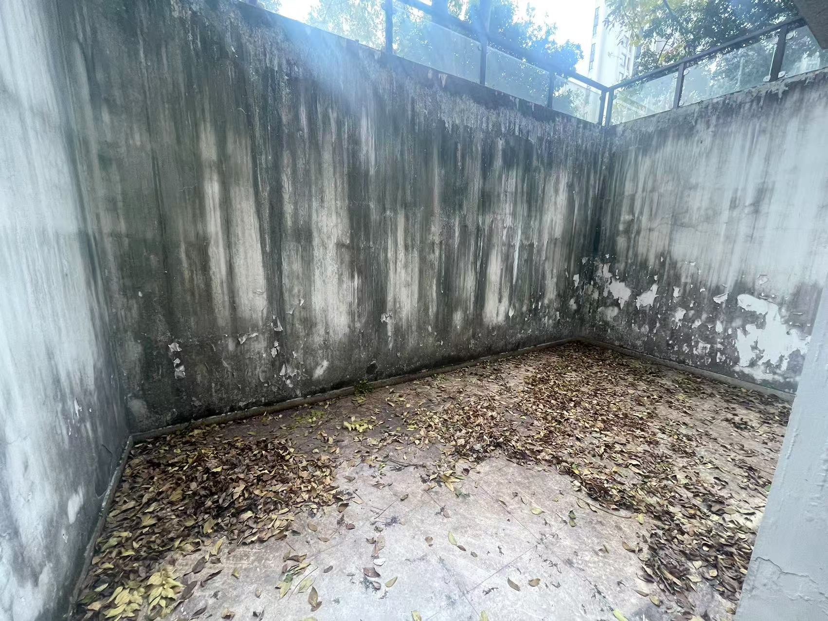 金茂梅溪湖  4室2厅1卫   5500.00元/月室内图