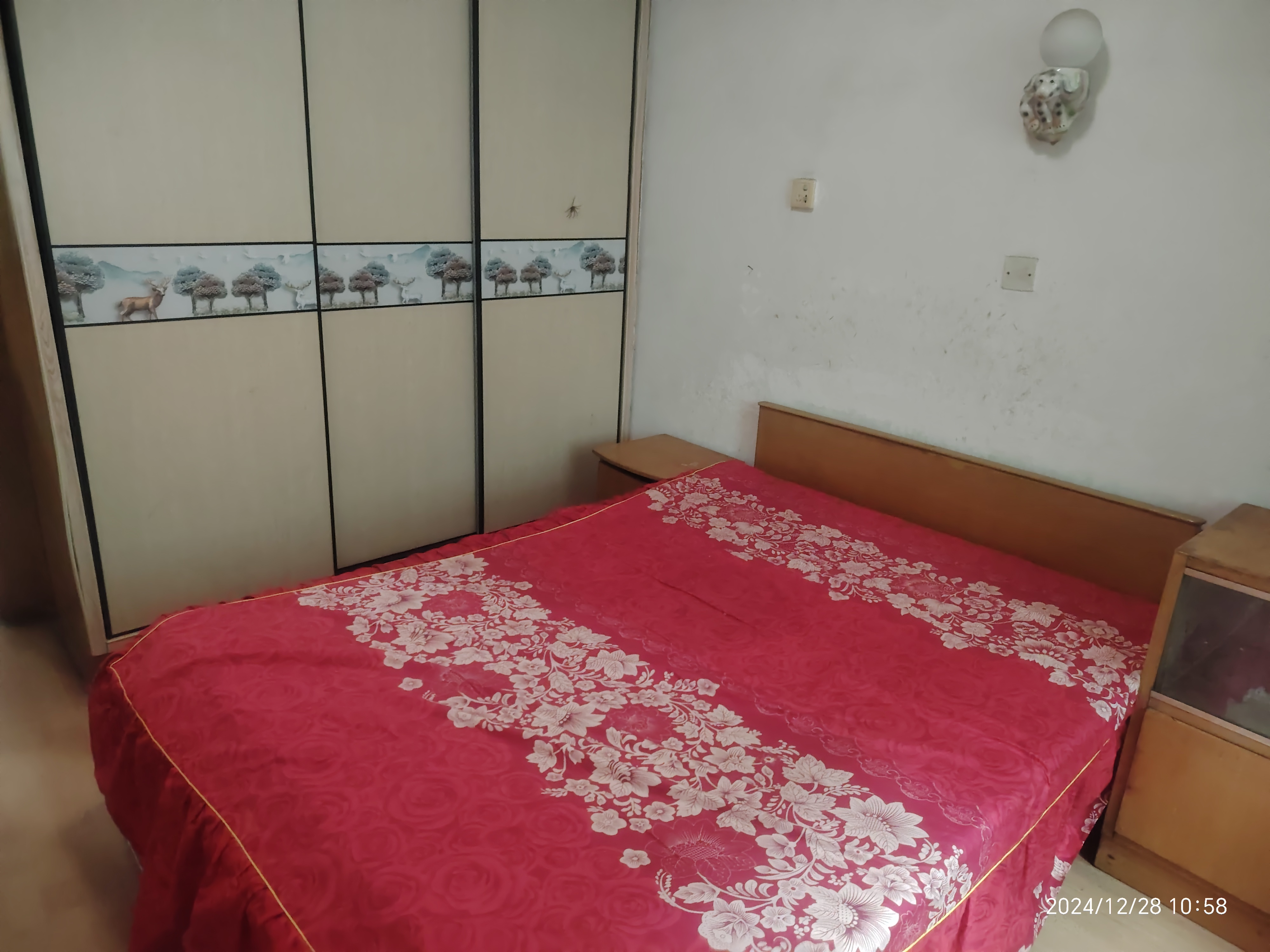 市煤炭局家属楼 3室1厅1卫 900.0元/月 市煤炭局家属楼 3室1厅1卫 900.0元/月室内图