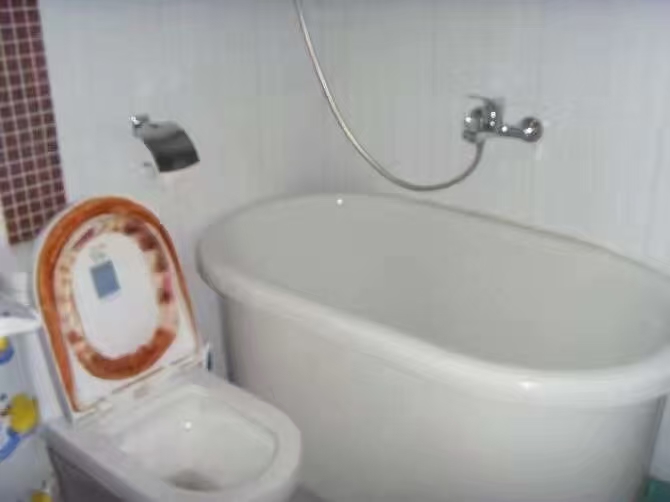 摩天一号  2室1厅1卫   2100.00元/月室内图