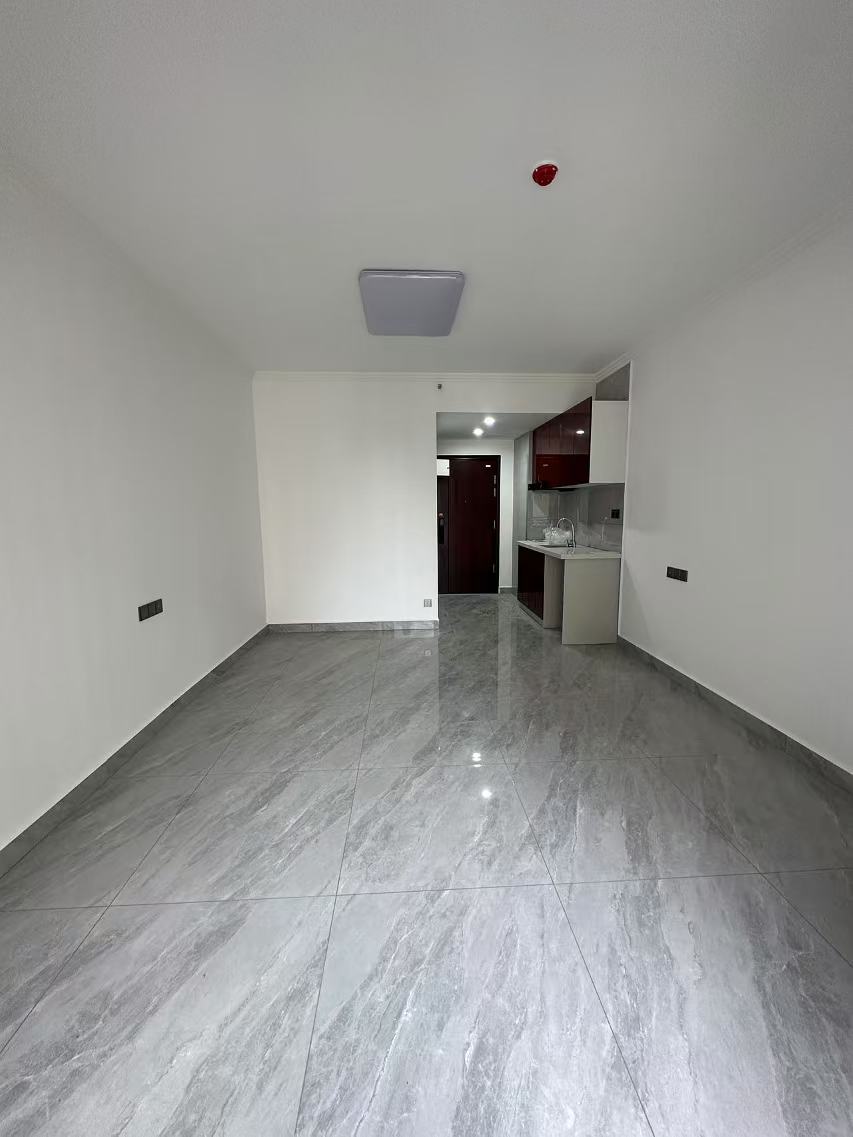 碧桂园壹中心 1室1厅1卫 1200.0元/月 碧桂园壹中心 1室1厅1卫 1200.0元/月室内图